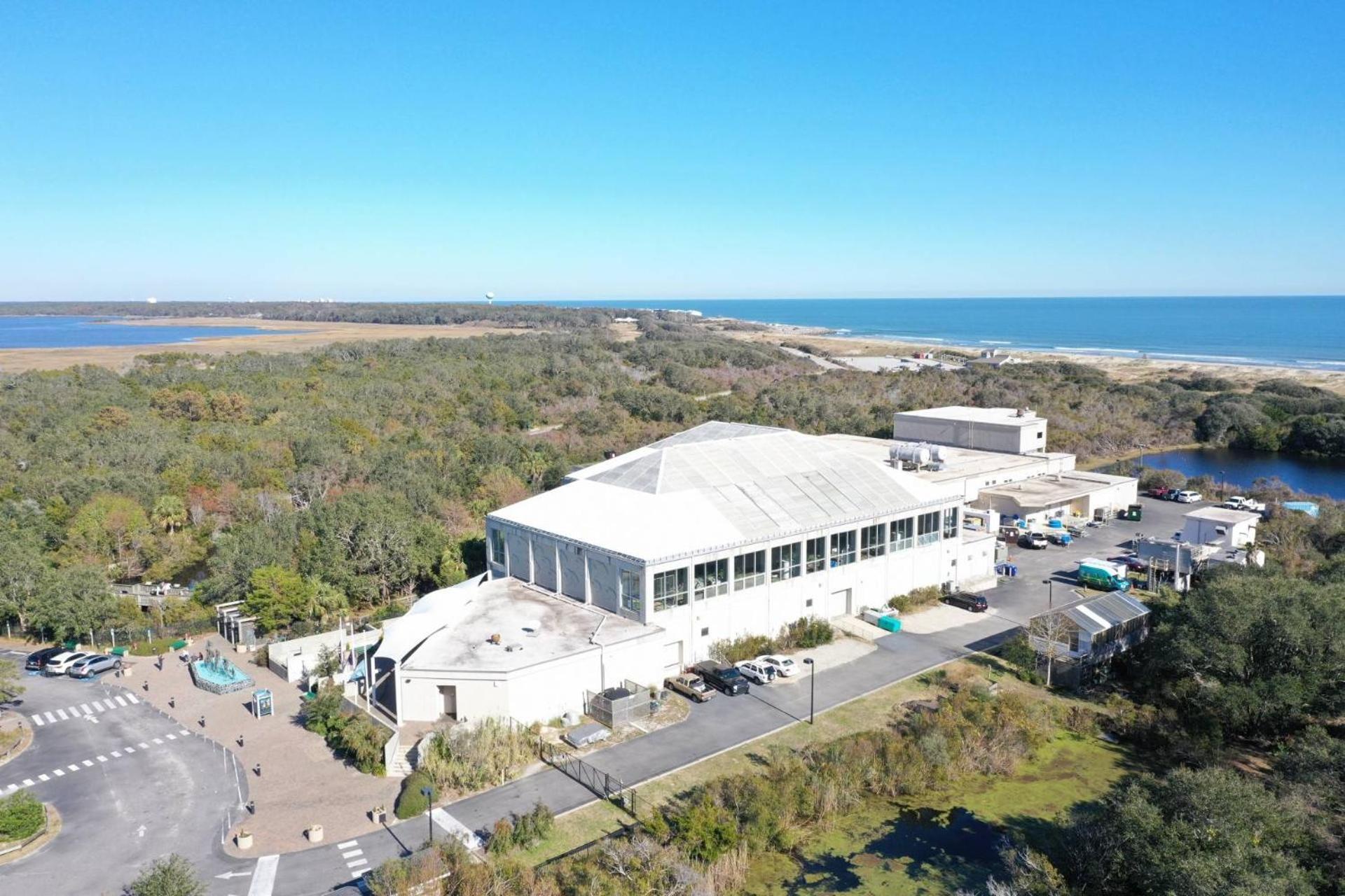 Sea Turtle'S Nest Villa Каролина Бийч Екстериор снимка